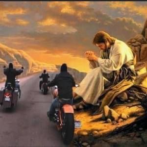 Meet your Posher, Darcy